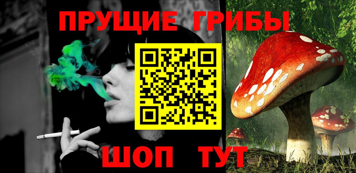 Псилоцибиновые грибы прущие грибы  Галлюциногенные грибы ЛСД  Вход с VPN  Новотроицк 