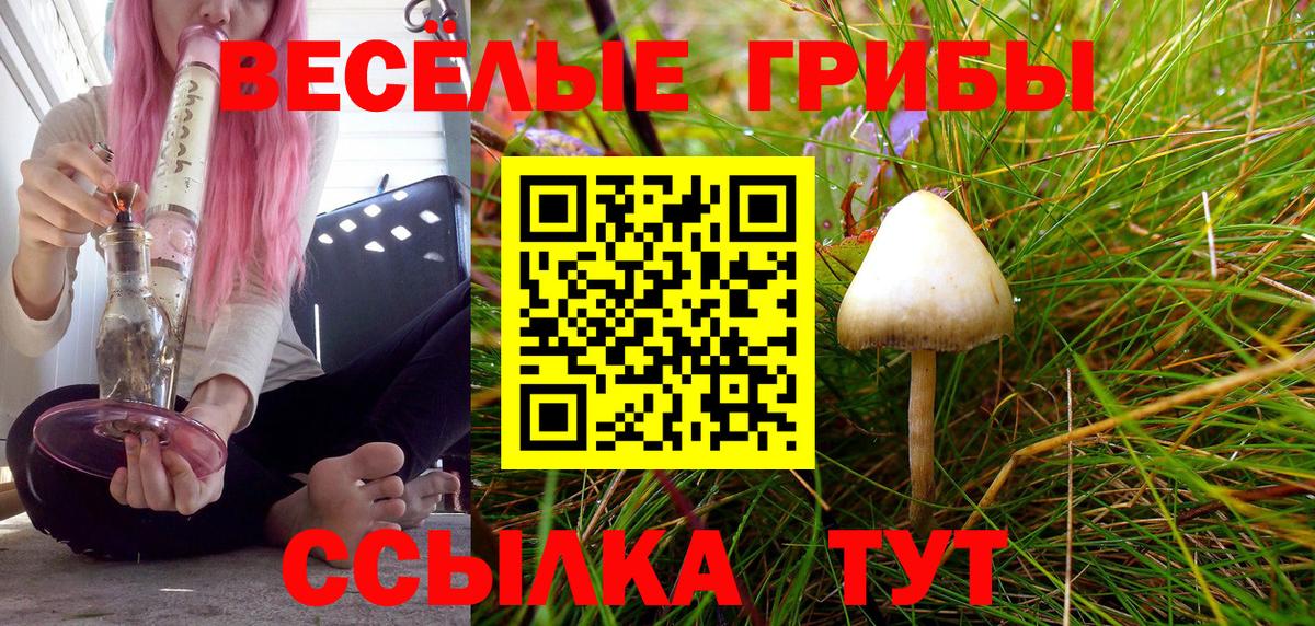 Галлюциногенные грибы ЛСД Новотроицк
